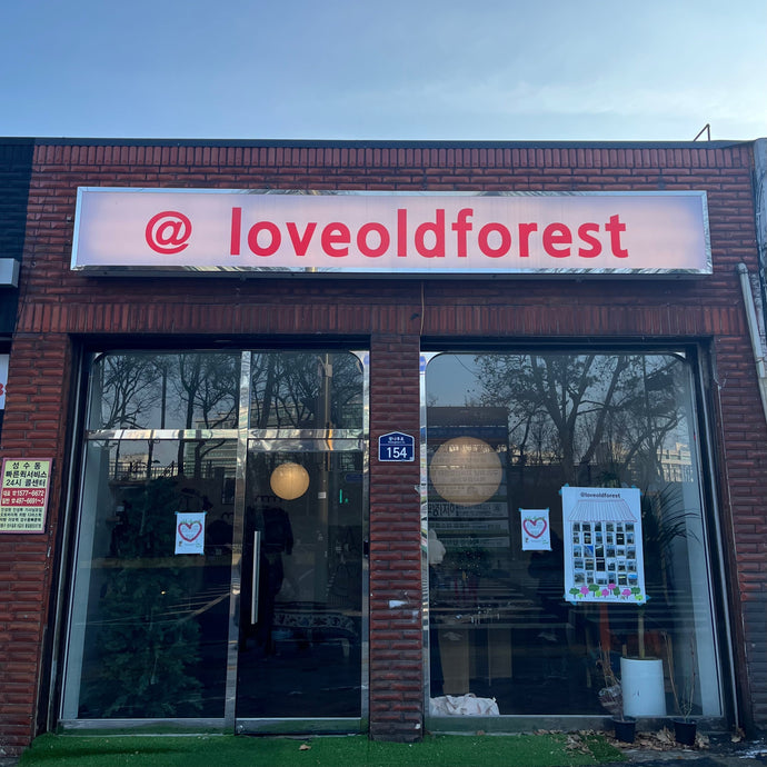【聖水エリア】お気に入りのアイウェアを見つけて！「loveoldforest」