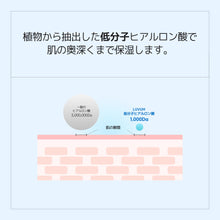 画像をギャラリービューアに読み込む, Luvum バンブーヒアルロン酸水分クリーム70ml 150ml
